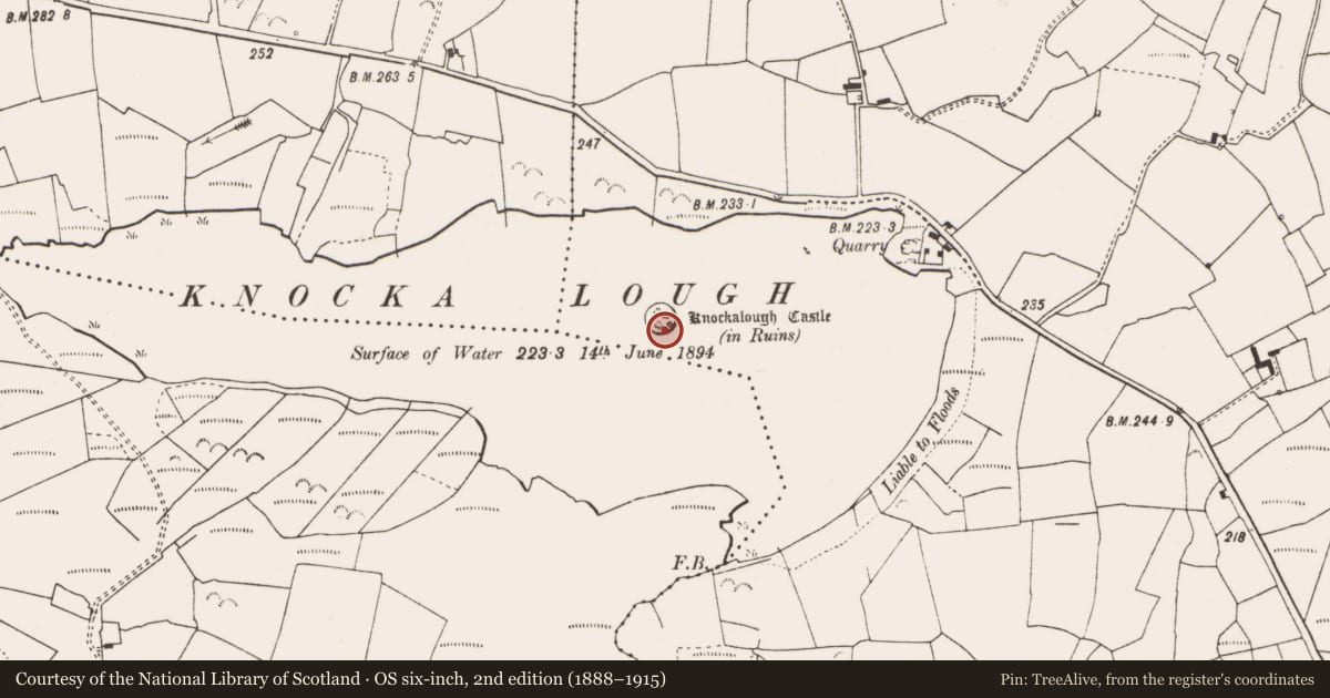 Ordnance Survey six-inch map, 2nd edition (1888–1915) covering the location of Castle - unclassified, Knockalough, County Clare, with a pin at the register's coordinates