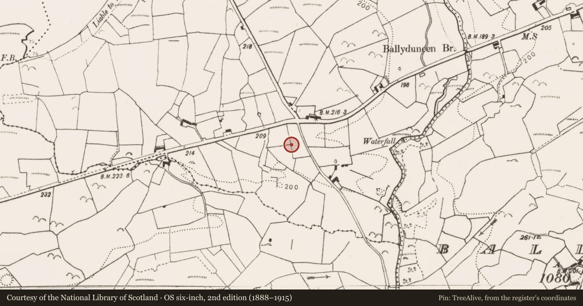Ordnance Survey six-inch map, 2nd edition (1888–1915) covering the location of Enclosure, Knockalough, County Clare, with a pin at the register's coordinates