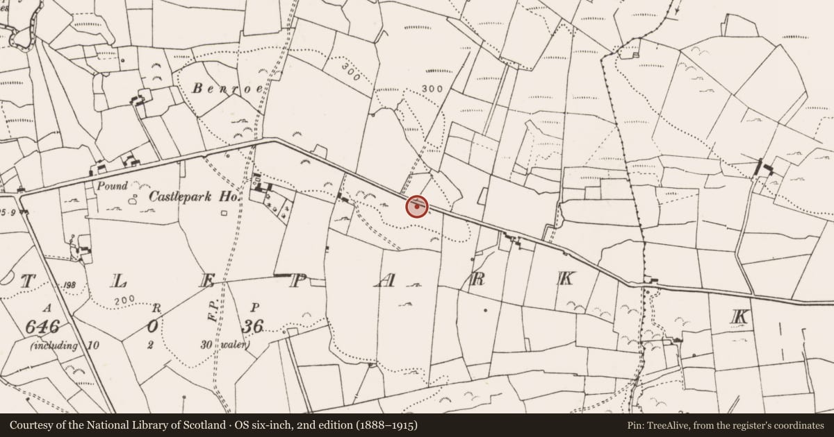 Ordnance Survey six-inch map, 2nd edition (1888–1915) covering the location of Enclosure, Castlepark, County Clare, with a pin at the register's coordinates