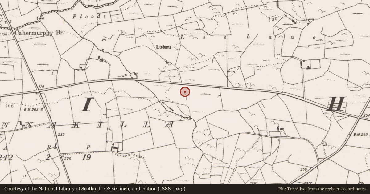 Ordnance Survey six-inch map, 2nd edition (1888–1915) covering the location of Excavation - miscellaneous, Knockmore, County Clare, with a pin at the register's coordinates