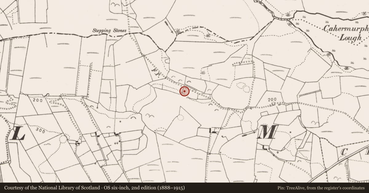 Ordnance Survey six-inch map, 2nd edition (1888–1915) covering the location of House - indeterminate date, Sheeaun, County Clare, with a pin at the register's coordinates