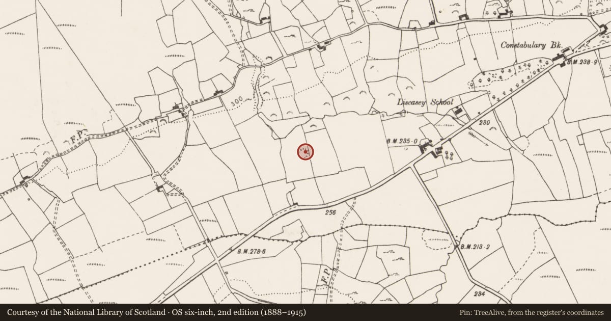 Ordnance Survey six-inch map, 2nd edition (1888–1915) covering the location of Ringfort - rath, Liscasey, County Clare, with a pin at the register's coordinates