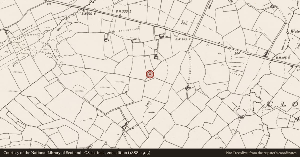 Ordnance Survey six-inch map, 2nd edition (1888–1915) covering the location of Ringfort - rath, Clooncolman, County Clare, with a pin at the register's coordinates