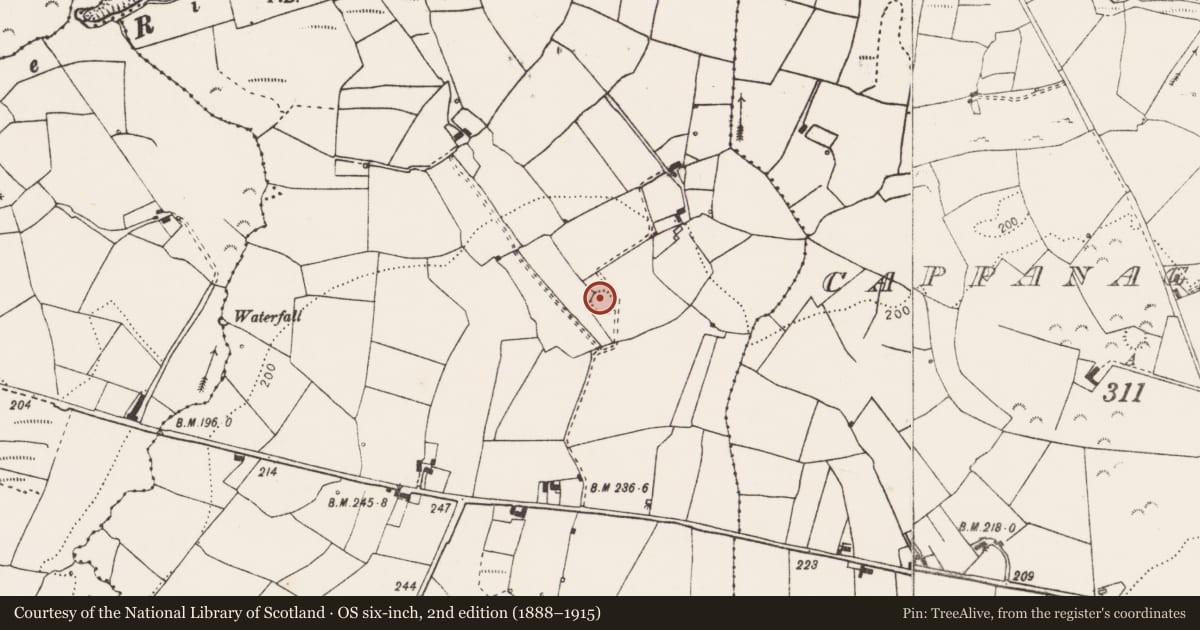 Ordnance Survey six-inch map, 2nd edition (1888–1915) covering the location of Ringfort - rath, Cloondrinagh, County Clare, with a pin at the register's coordinates