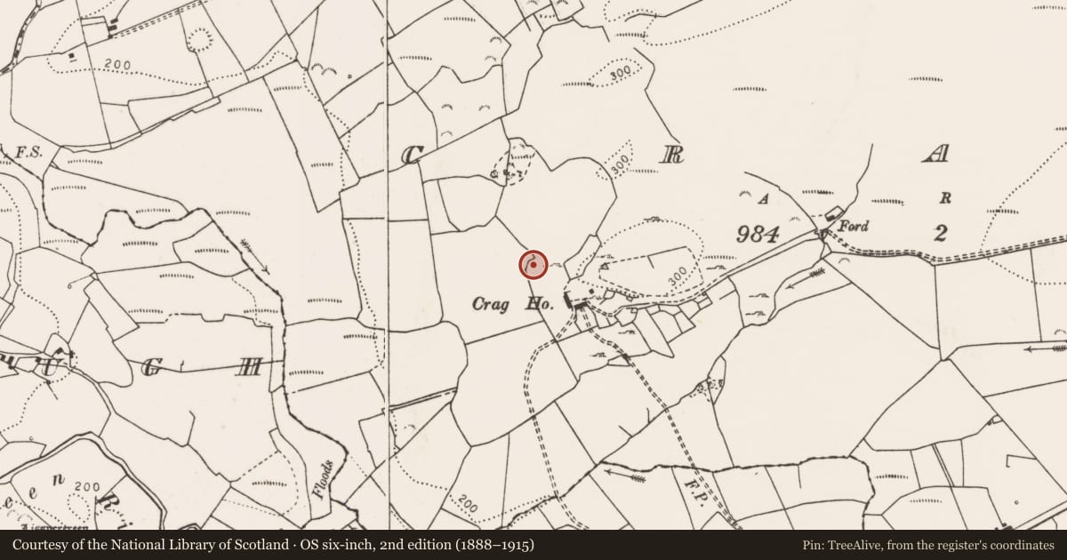 Ordnance Survey six-inch map, 2nd edition (1888–1915) covering the location of Ringfort - cashel, Crag, County Clare, with a pin at the register's coordinates