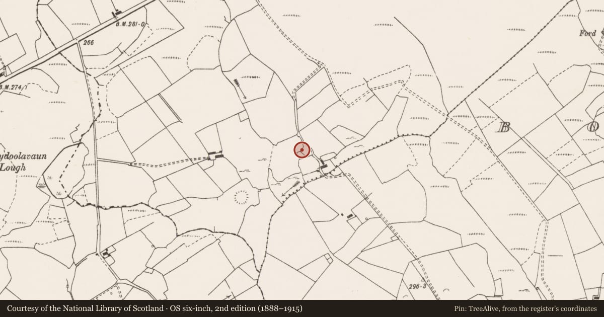 Ordnance Survey six-inch map, 2nd edition (1888–1915) covering the location of Ringfort - rath, Crag, County Clare, with a pin at the register's coordinates
