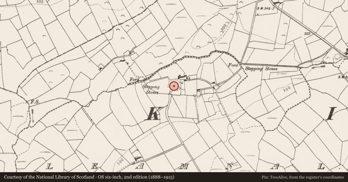 Ordnance Survey six-inch map, 2nd edition (1888–1915) covering the location of Ringfort - rath, Leamnaleaha, County Clare, with a pin at the register's coordinates