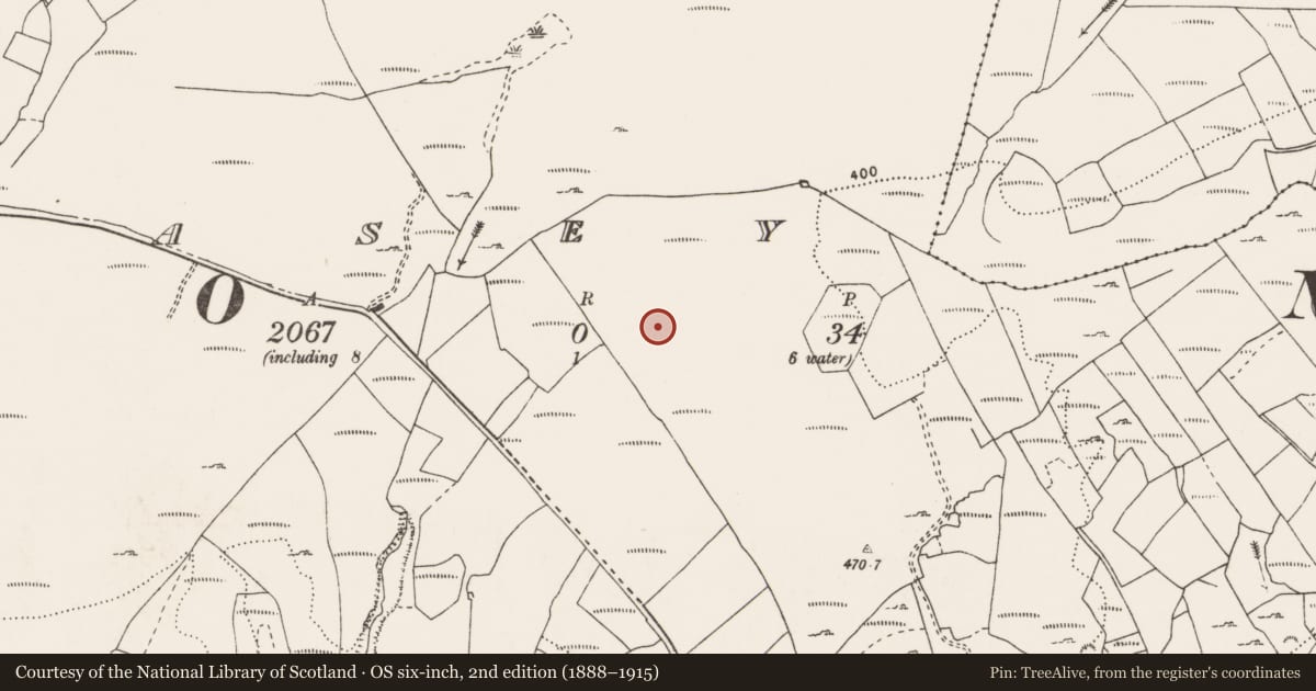 Ordnance Survey six-inch map, 2nd edition (1888–1915) covering the location of Souterrain, Liscasey, County Clare, with a pin at the register's coordinates