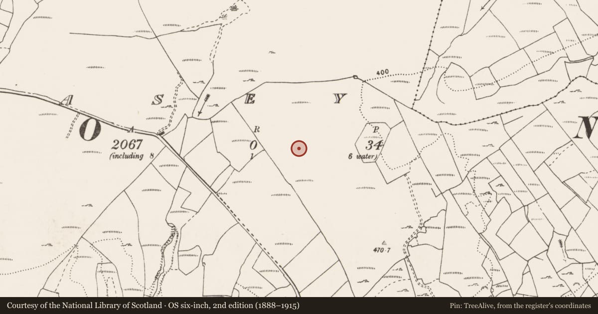 Ordnance Survey six-inch map, 2nd edition (1888–1915) covering the location of Megalithic structure, Liscasey, County Clare, with a pin at the register's coordinates