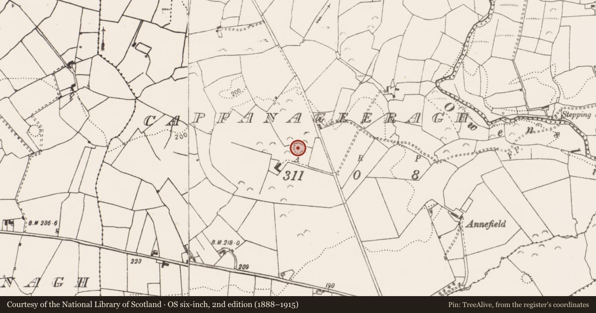 Ordnance Survey six-inch map, 2nd edition (1888–1915) covering the location of Ringfort - rath, Cappanageeragh, County Clare, with a pin at the register's coordinates