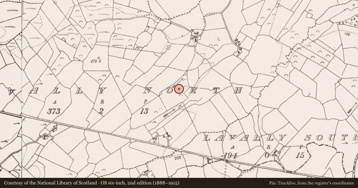 Ordnance Survey six-inch map, 2nd edition (1888–1915) covering the location of Earthwork, Lavally North, County Clare, with a pin at the register's coordinates