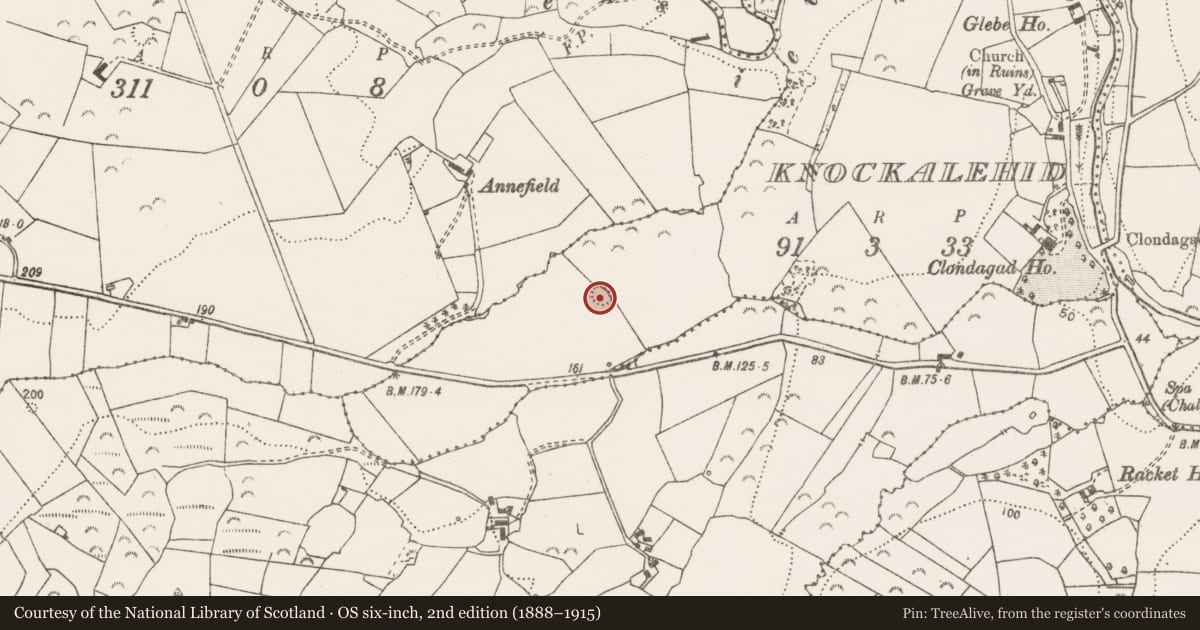 Ordnance Survey six-inch map, 2nd edition (1888–1915) covering the location of Ringfort - rath, Knockalehid, County Clare, with a pin at the register's coordinates