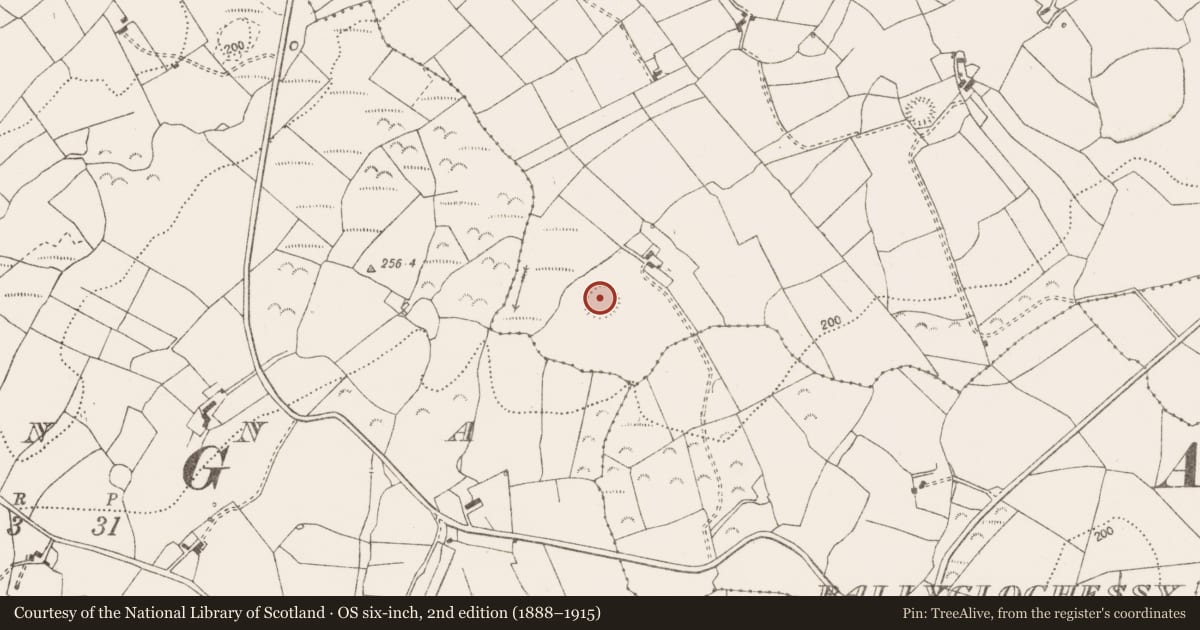 Ordnance Survey six-inch map, 2nd edition (1888–1915) covering the location of Ringfort - rath, Cloonmore, County Clare, with a pin at the register's coordinates