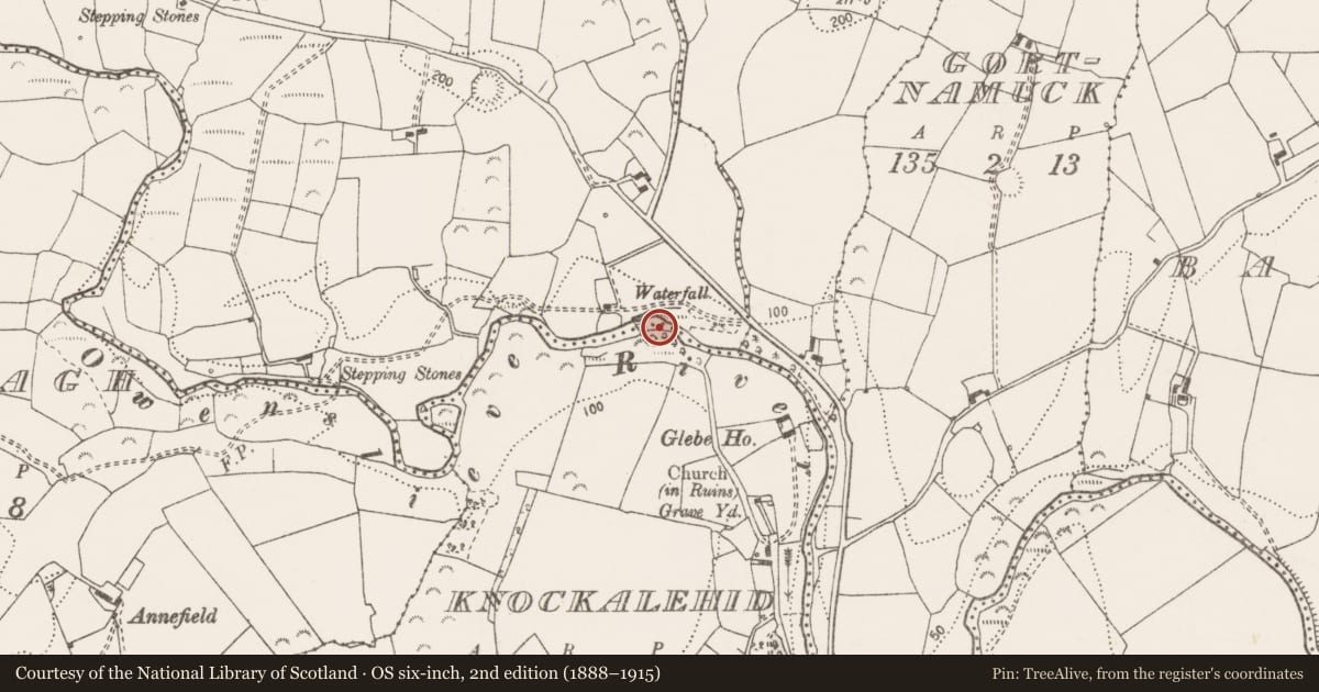 Ordnance Survey six-inch map, 2nd edition (1888–1915) covering the location of Penitential station, Knockalehid, County Clare, with a pin at the register's coordinates
