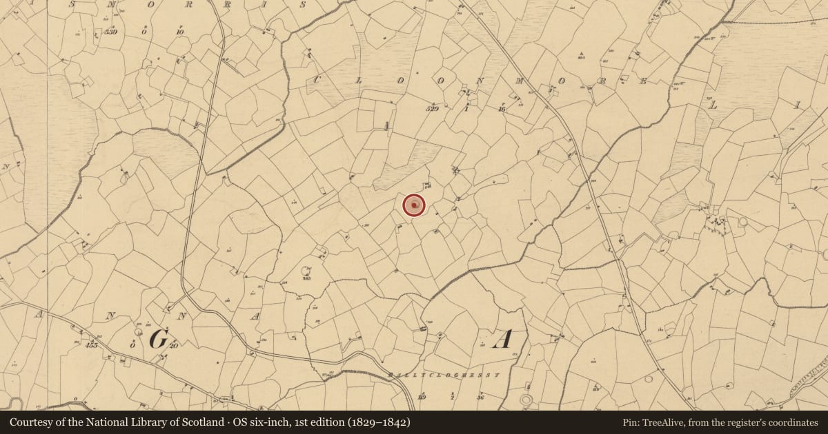 Ordnance Survey six-inch map, 1st edition (1829–1842) covering the location of Ringfort - rath, Cloonmore, County Clare, with a pin at the register's coordinates