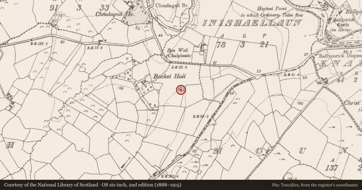 Ordnance Survey six-inch map, 2nd edition (1888–1915) covering the location of Ringfort - rath, Lavally South, County Clare, with a pin at the register's coordinates