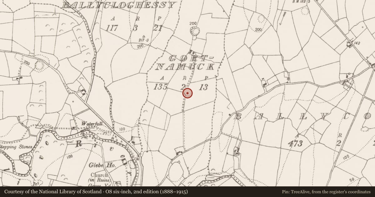 Ordnance Survey six-inch map, 2nd edition (1888–1915) covering the location of Ringfort - rath, Gortnamuck, County Clare, with a pin at the register's coordinates