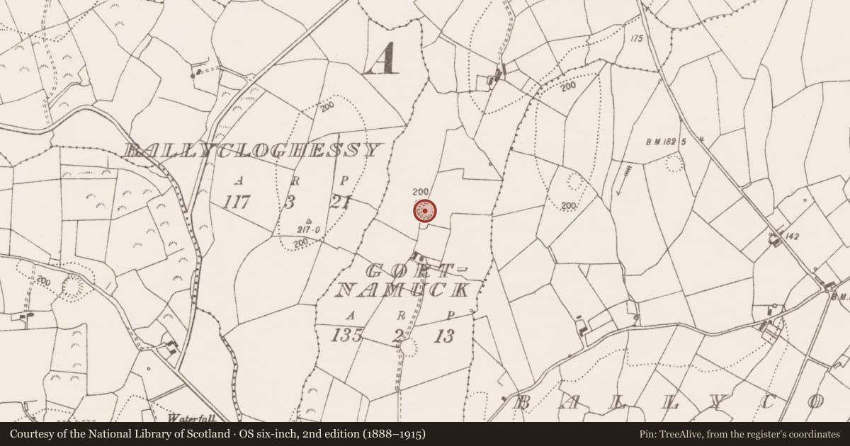 Ordnance Survey six-inch map, 2nd edition (1888–1915) covering the location of Ringfort - rath, Gortnamuck, County Clare, with a pin at the register's coordinates