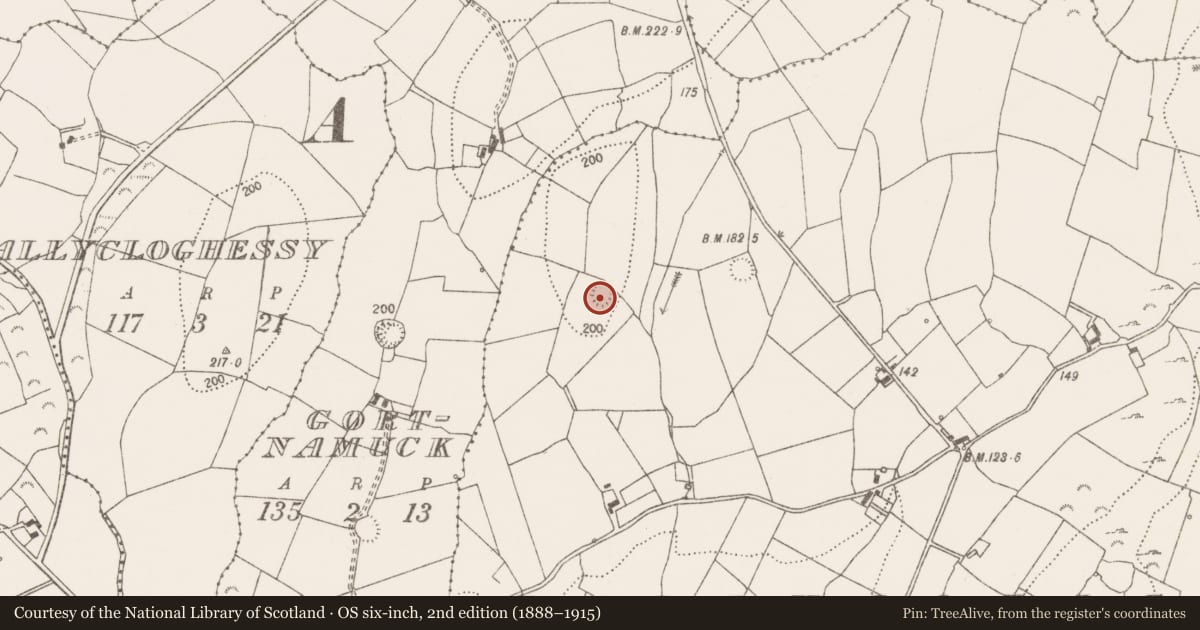 Ordnance Survey six-inch map, 2nd edition (1888–1915) covering the location of Ringfort - rath, Ballycorick, County Clare, with a pin at the register's coordinates