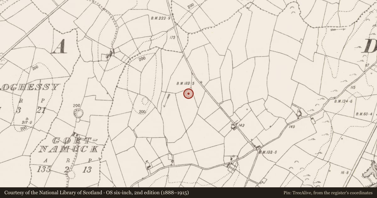 Ordnance Survey six-inch map, 2nd edition (1888–1915) covering the location of Ringfort - rath, Ballycorick, County Clare, with a pin at the register's coordinates