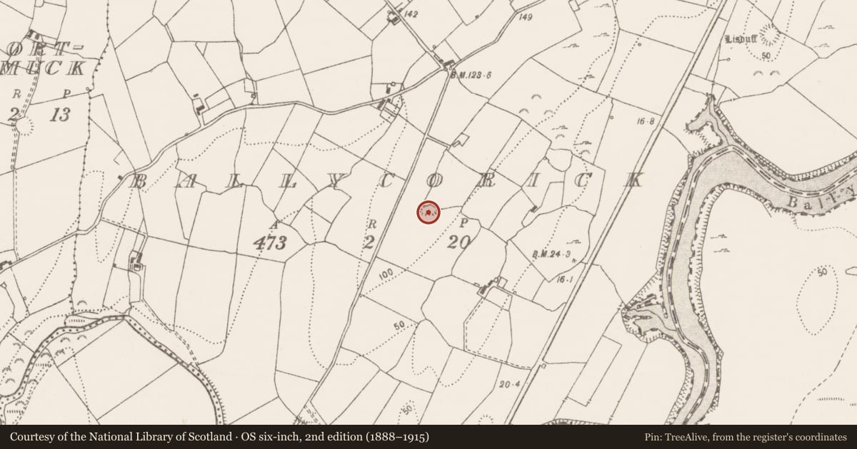 Ordnance Survey six-inch map, 2nd edition (1888–1915) covering the location of Ringfort - rath, Ballycorick, County Clare, with a pin at the register's coordinates