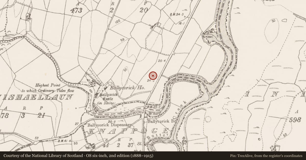 Ordnance Survey six-inch map, 2nd edition (1888–1915) covering the location of Ringfort - rath, Ballycorick, County Clare, with a pin at the register's coordinates
