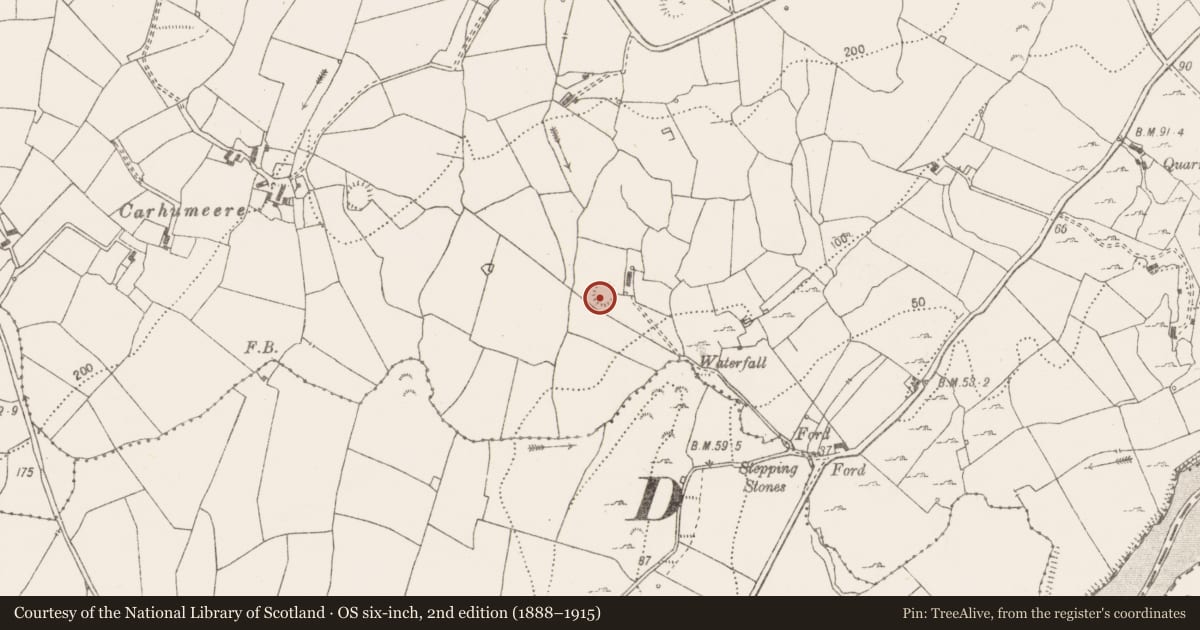 Ordnance Survey six-inch map, 2nd edition (1888–1915) covering the location of Ringfort - rath, Lisheen, County Clare, with a pin at the register's coordinates