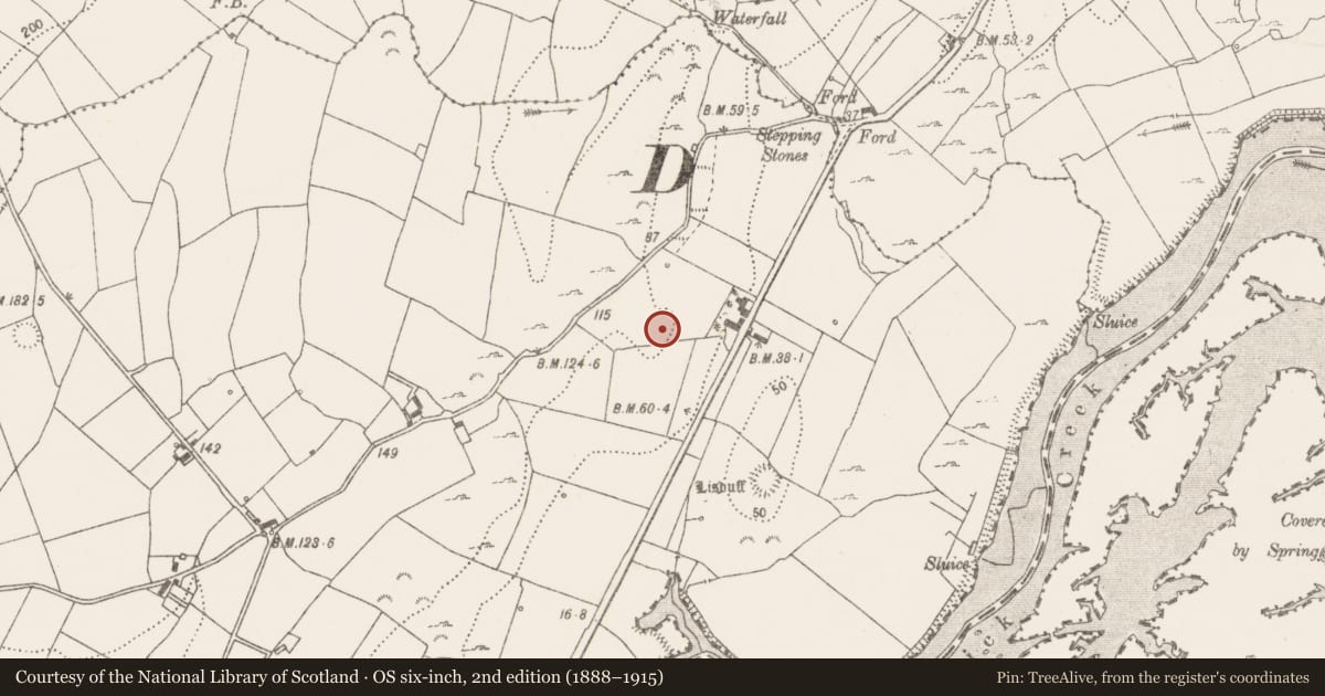 Ordnance Survey six-inch map, 2nd edition (1888–1915) covering the location of Ringfort - rath, Ballycorick, County Clare, with a pin at the register's coordinates