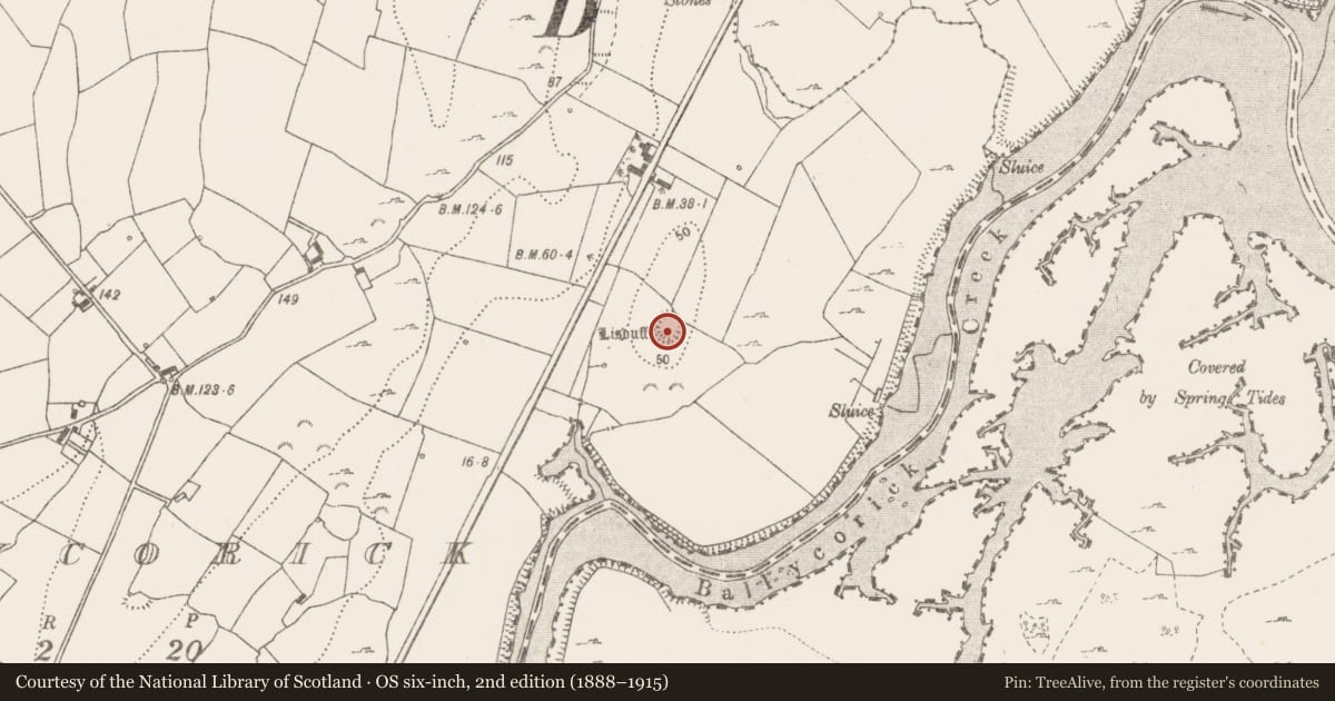 Ordnance Survey six-inch map, 2nd edition (1888–1915) covering the location of Ringfort - rath, Ballycorick, County Clare, with a pin at the register's coordinates