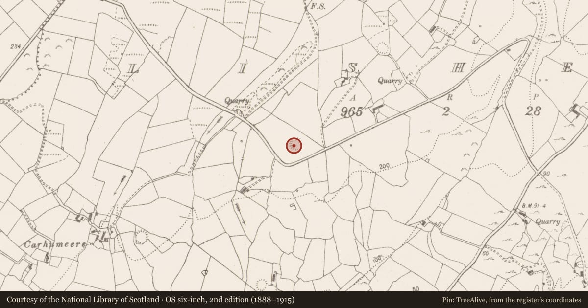 Ordnance Survey six-inch map, 2nd edition (1888–1915) covering the location of Ringfort - rath, Lisheen, County Clare, with a pin at the register's coordinates