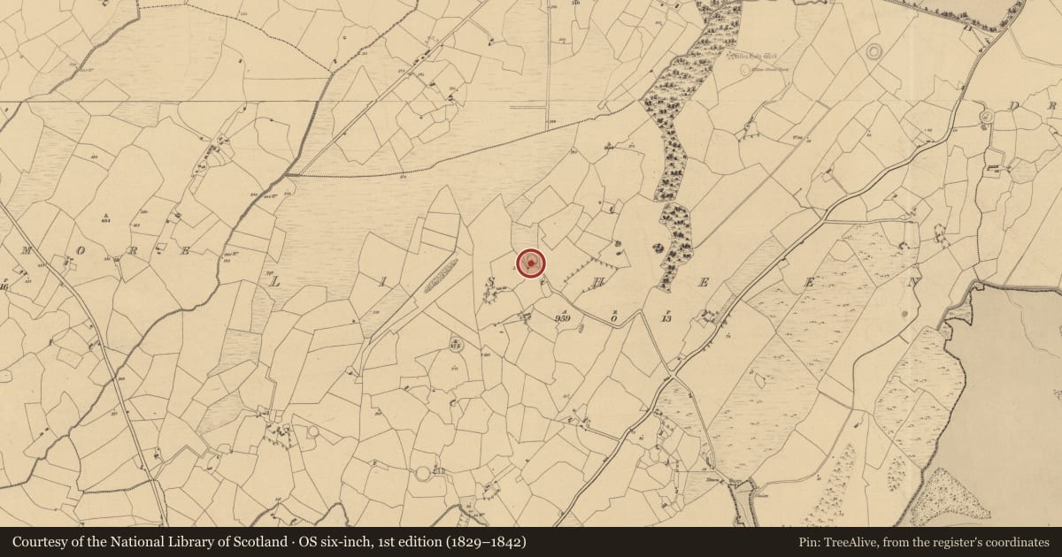 Ordnance Survey six-inch map, 1st edition (1829–1842) covering the location of Ringfort - rath, Lisheen, County Clare, with a pin at the register's coordinates