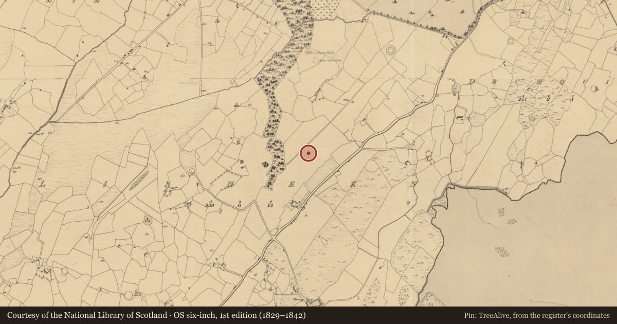 Ordnance Survey six-inch map, 1st edition (1829–1842) covering the location of Ringfort - rath, Lisheen, County Clare, with a pin at the register's coordinates