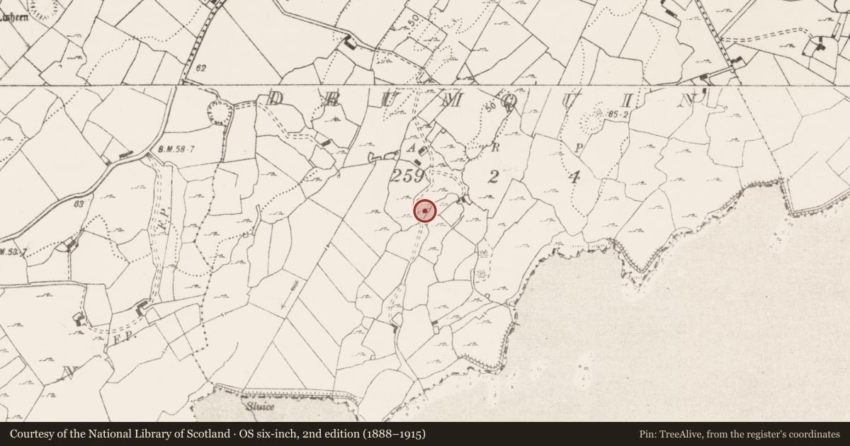 Ordnance Survey six-inch map, 2nd edition (1888–1915) covering the location of Earthwork, Drumquin, County Clare, with a pin at the register's coordinates