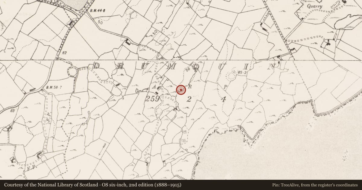 Ordnance Survey six-inch map, 2nd edition (1888–1915) covering the location of Earthwork, Drumquin, County Clare, with a pin at the register's coordinates