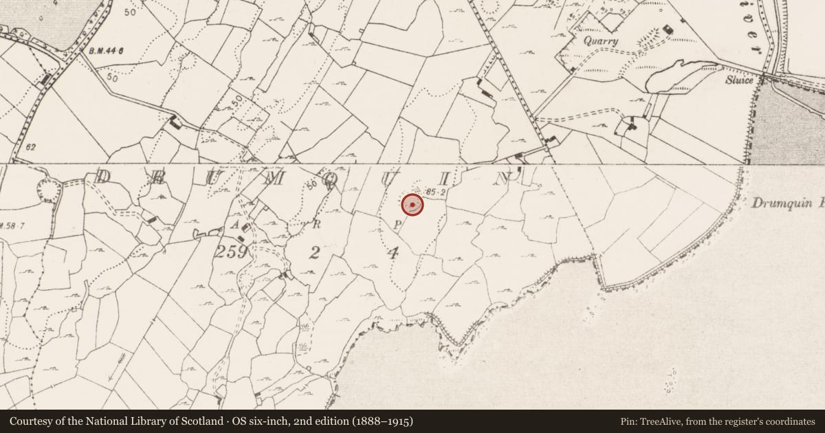 Ordnance Survey six-inch map, 2nd edition (1888–1915) covering the location of Ringfort - rath, Drumquin, County Clare, with a pin at the register's coordinates