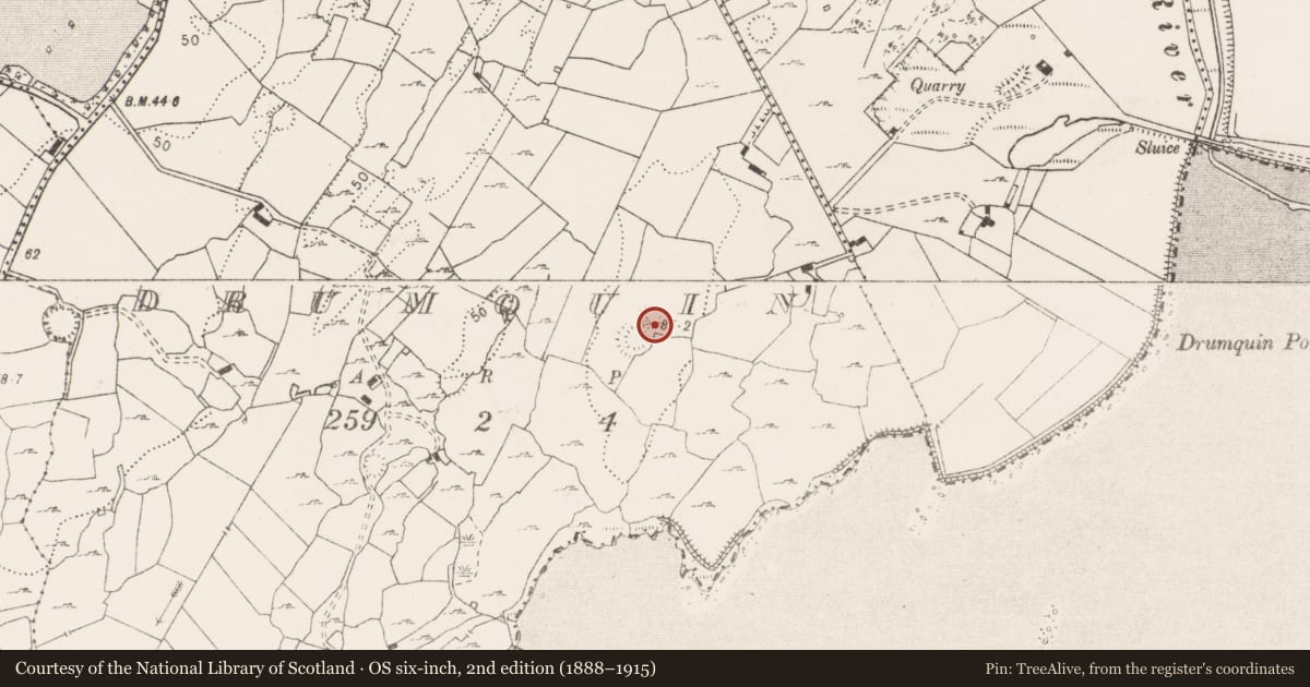 Ordnance Survey six-inch map, 2nd edition (1888–1915) covering the location of Ringfort - rath, Drumquin, County Clare, with a pin at the register's coordinates