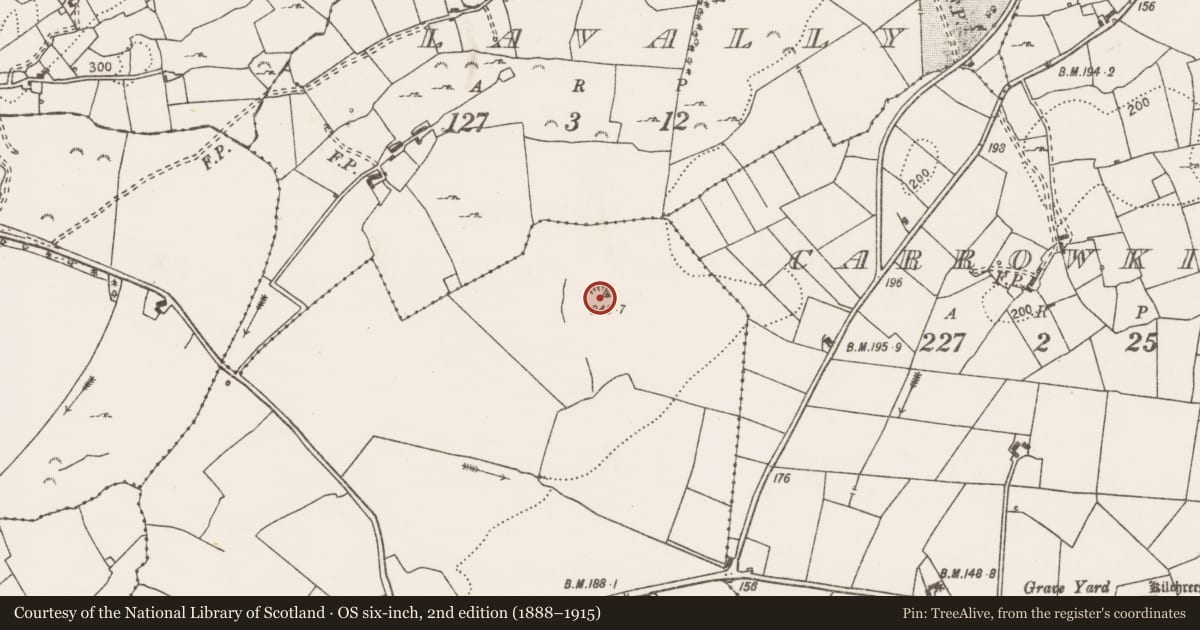 Ordnance Survey six-inch map, 2nd edition (1888–1915) covering the location of Earthwork, Ardnagla, County Clare, with a pin at the register's coordinates