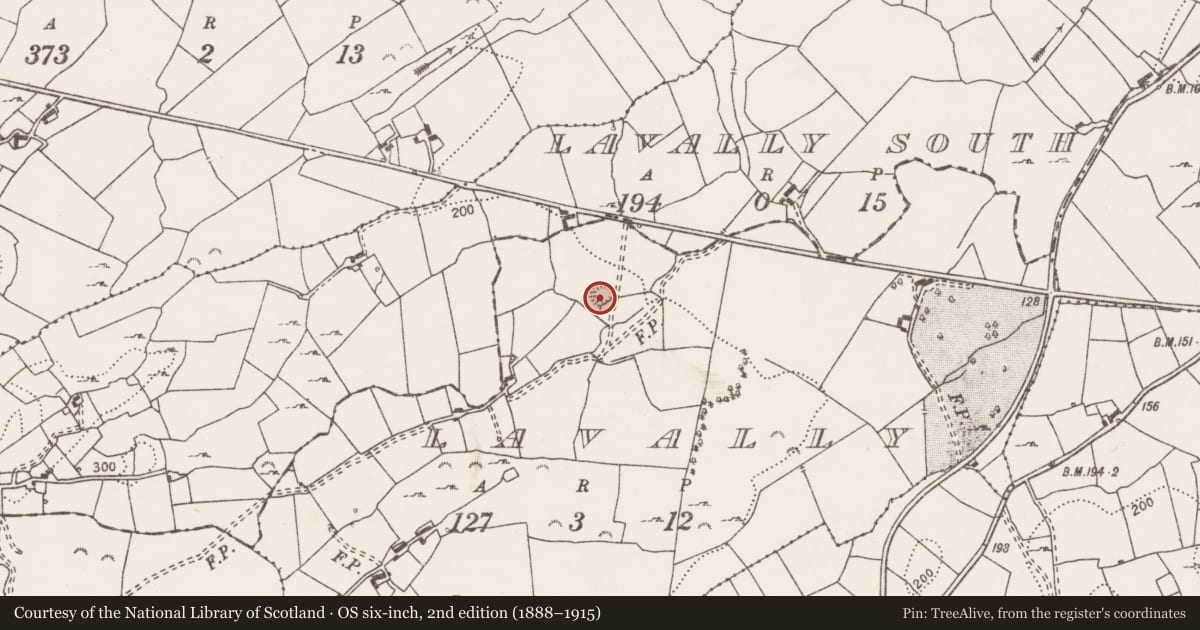 Ordnance Survey six-inch map, 2nd edition (1888–1915) covering the location of Ringfort - rath, Lavally, County Clare, with a pin at the register's coordinates
