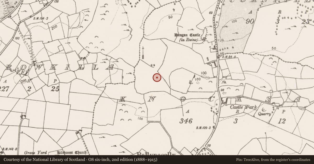 Ordnance Survey six-inch map, 2nd edition (1888–1915) covering the location of Ringfort - rath, Knocksaggart, County Clare, with a pin at the register's coordinates