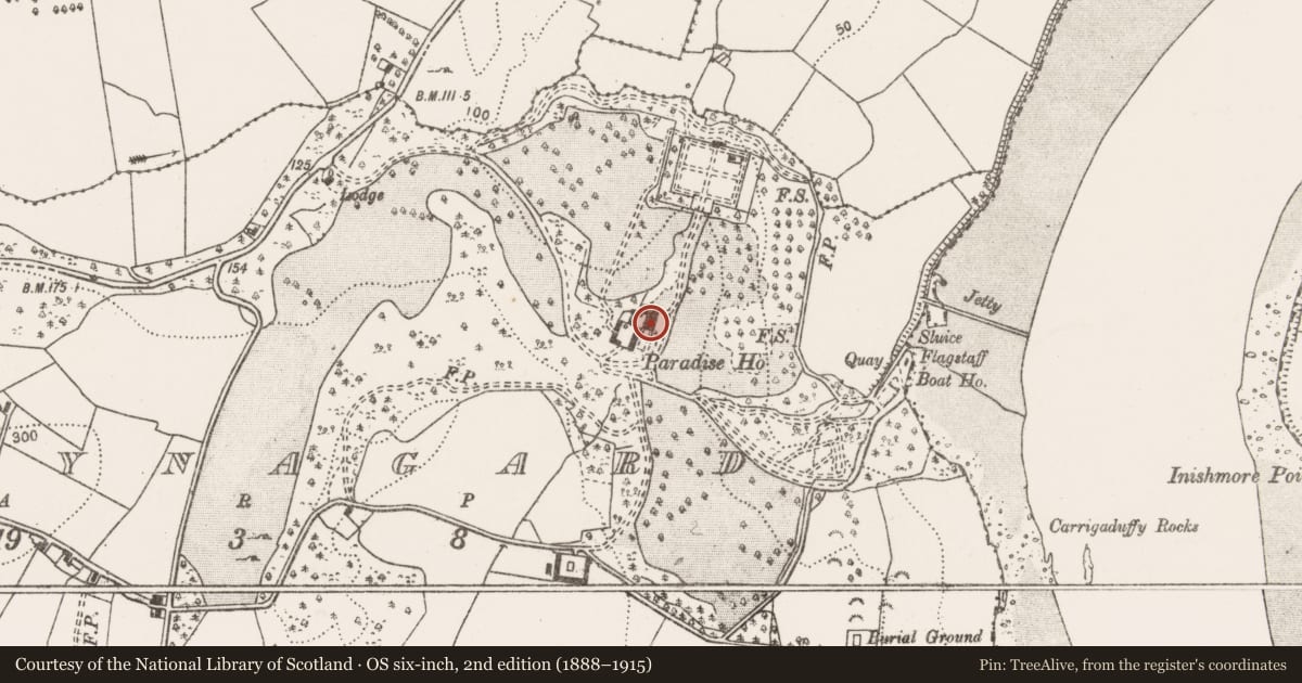 Ordnance Survey six-inch map, 2nd edition (1888–1915) covering the location of House - 16th/17th century, Ballynagard, County Clare, with a pin at the register's coordinates