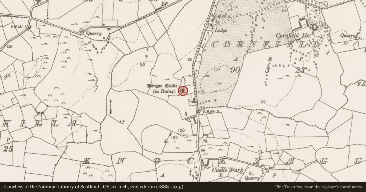 Ordnance Survey six-inch map, 2nd edition (1888–1915) covering the location of Castle - tower house, Knocksaggart, County Clare, with a pin at the register's coordinates