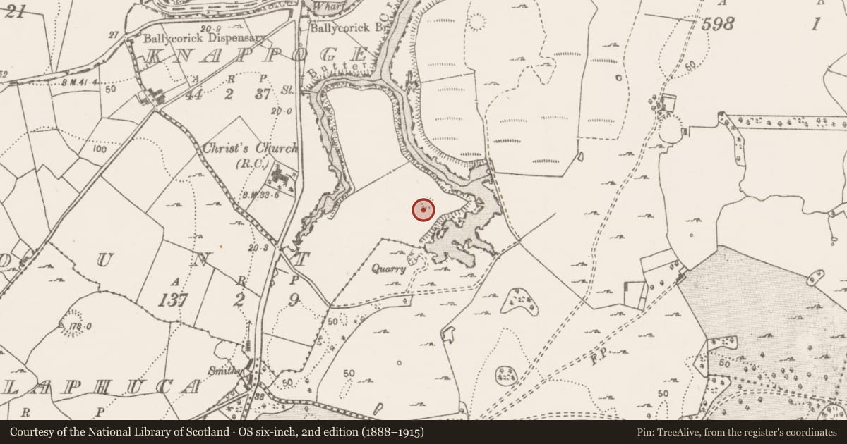 Ordnance Survey six-inch map, 2nd edition (1888–1915) covering the location of Ringfort - rath, Mount, County Clare, with a pin at the register's coordinates