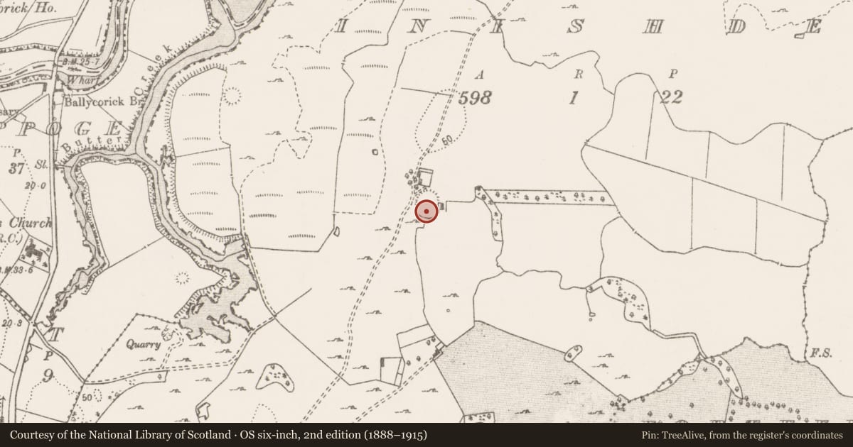 Ordnance Survey six-inch map, 2nd edition (1888–1915) covering the location of Ringfort - rath, Inishdea, County Clare, with a pin at the register's coordinates