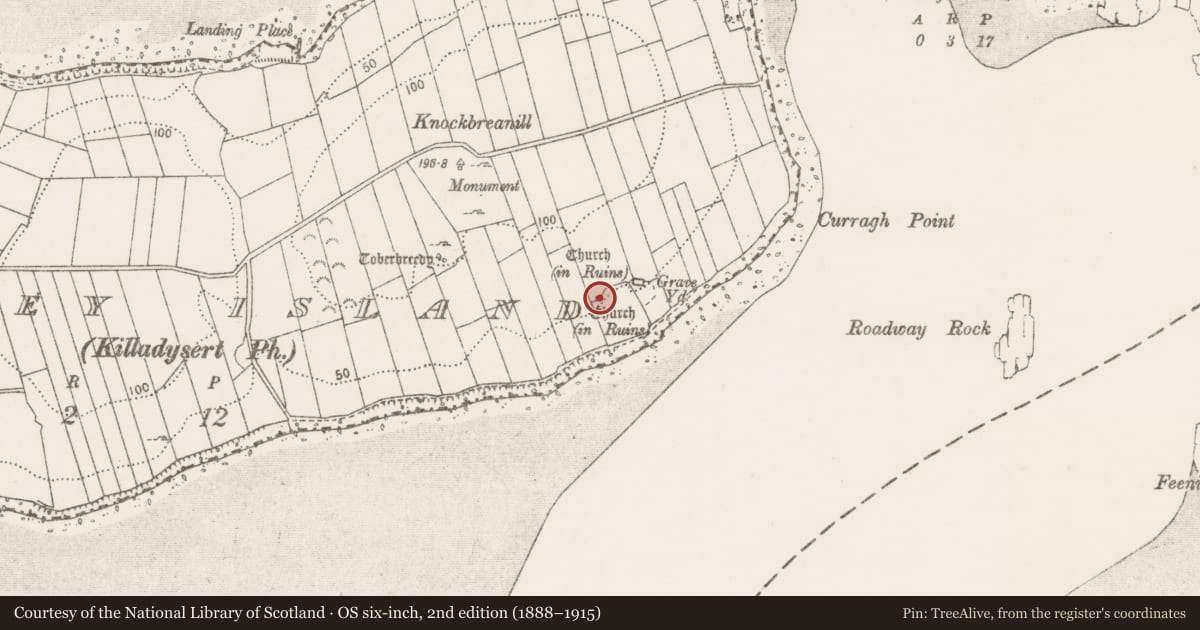 Ordnance Survey six-inch map, 2nd edition (1888–1915) covering the location of Church, Coney Island, County Clare, with a pin at the register's coordinates