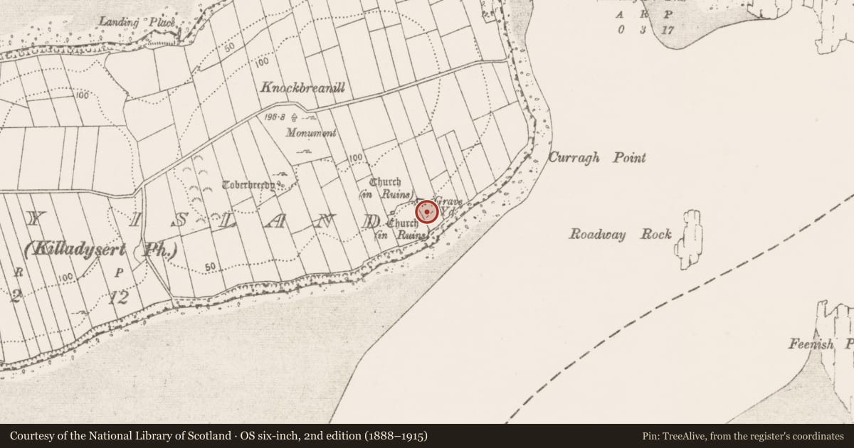 Ordnance Survey six-inch map, 2nd edition (1888–1915) covering the location of Graveyard, Coney Island, County Clare, with a pin at the register's coordinates