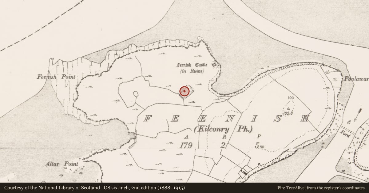 Ordnance Survey six-inch map, 2nd edition (1888–1915) covering the location of Settlement deserted - medieval, Feenish, County Clare, with a pin at the register's coordinates