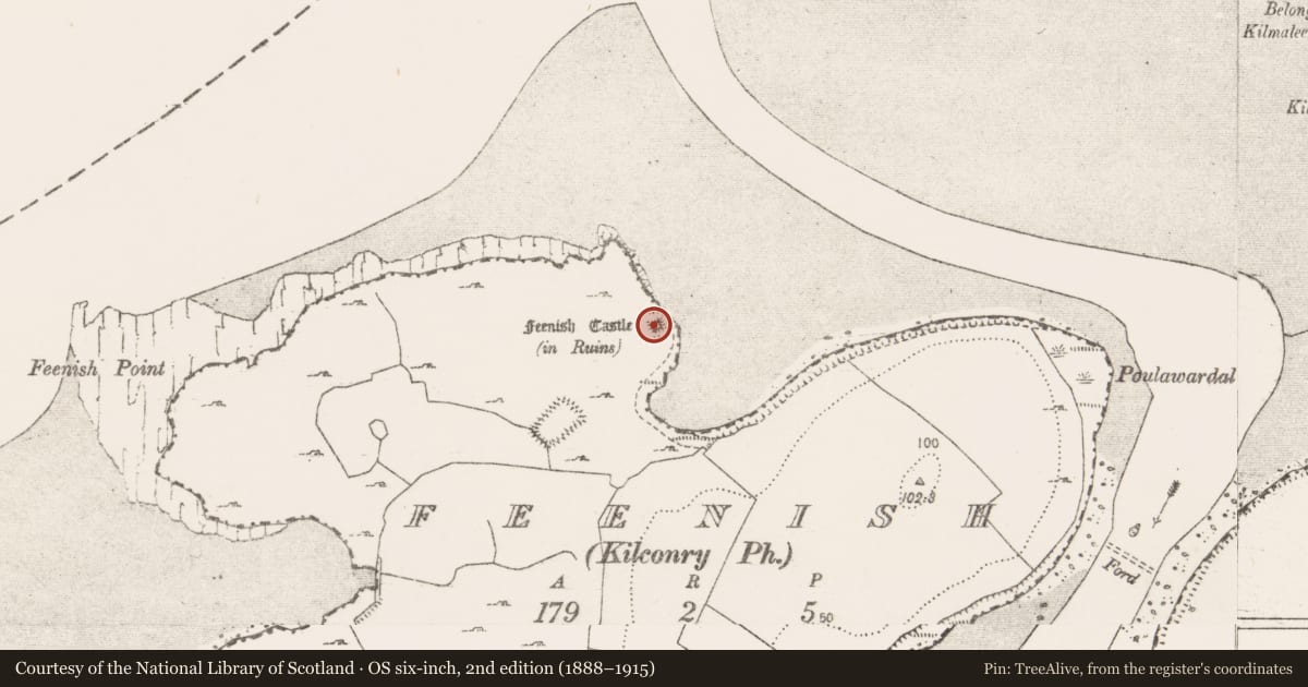 Ordnance Survey six-inch map, 2nd edition (1888–1915) covering the location of Castle - unclassified, Feenish, County Clare, with a pin at the register's coordinates