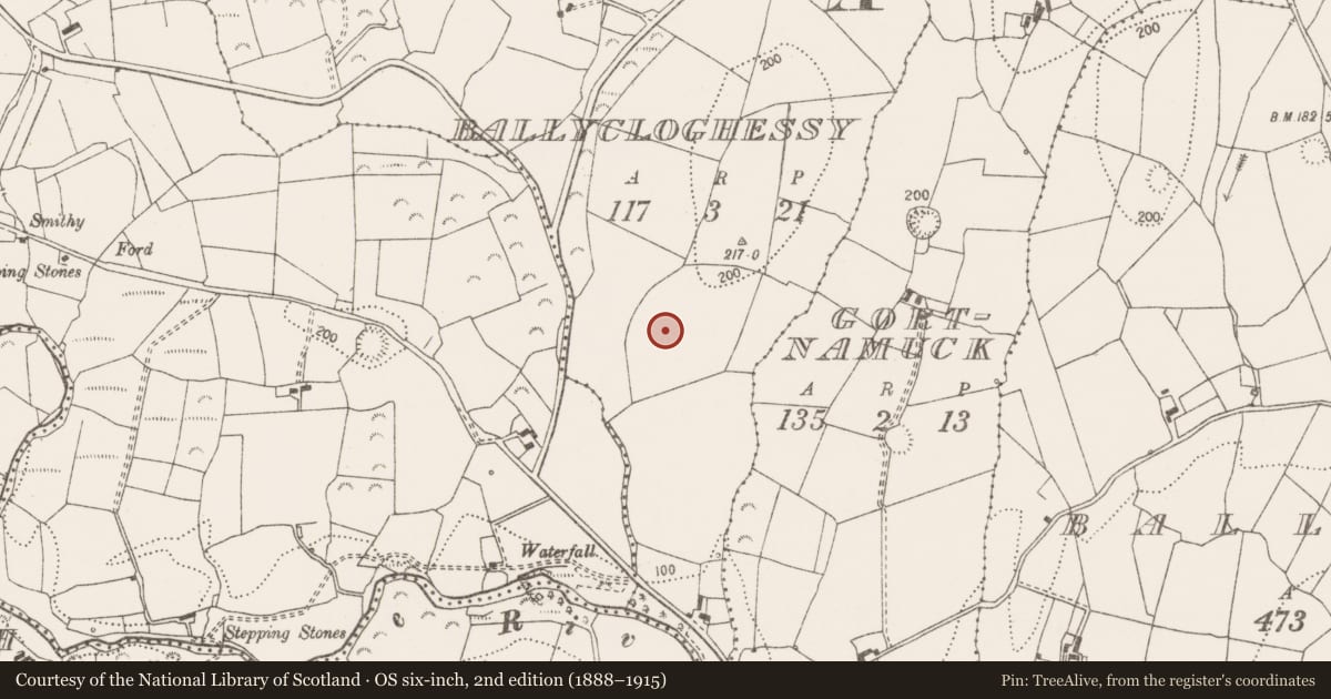 Ordnance Survey six-inch map, 2nd edition (1888–1915) covering the location of Ringfort - rath, Ballycloghessy, County Clare, with a pin at the register's coordinates