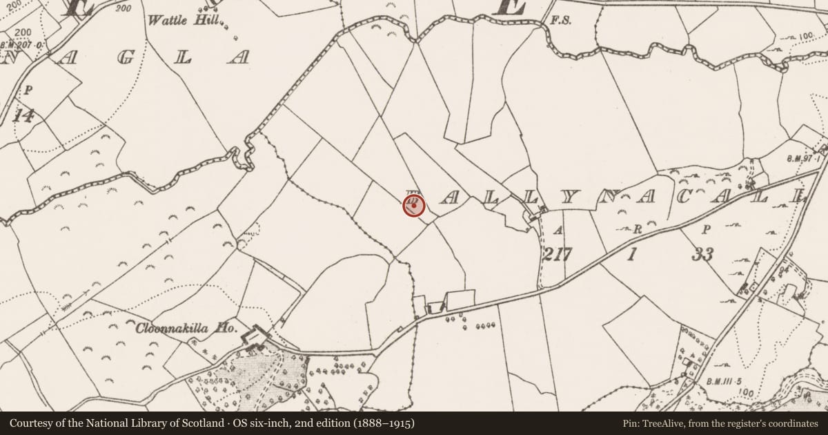 Ordnance Survey six-inch map, 2nd edition (1888–1915) covering the location of Metalworking site, Ballynacally, County Clare, with a pin at the register's coordinates