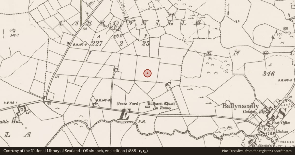 Ordnance Survey six-inch map, 2nd edition (1888–1915) covering the location of Excavation - miscellaneous, Carrowkilla, County Clare, with a pin at the register's coordinates